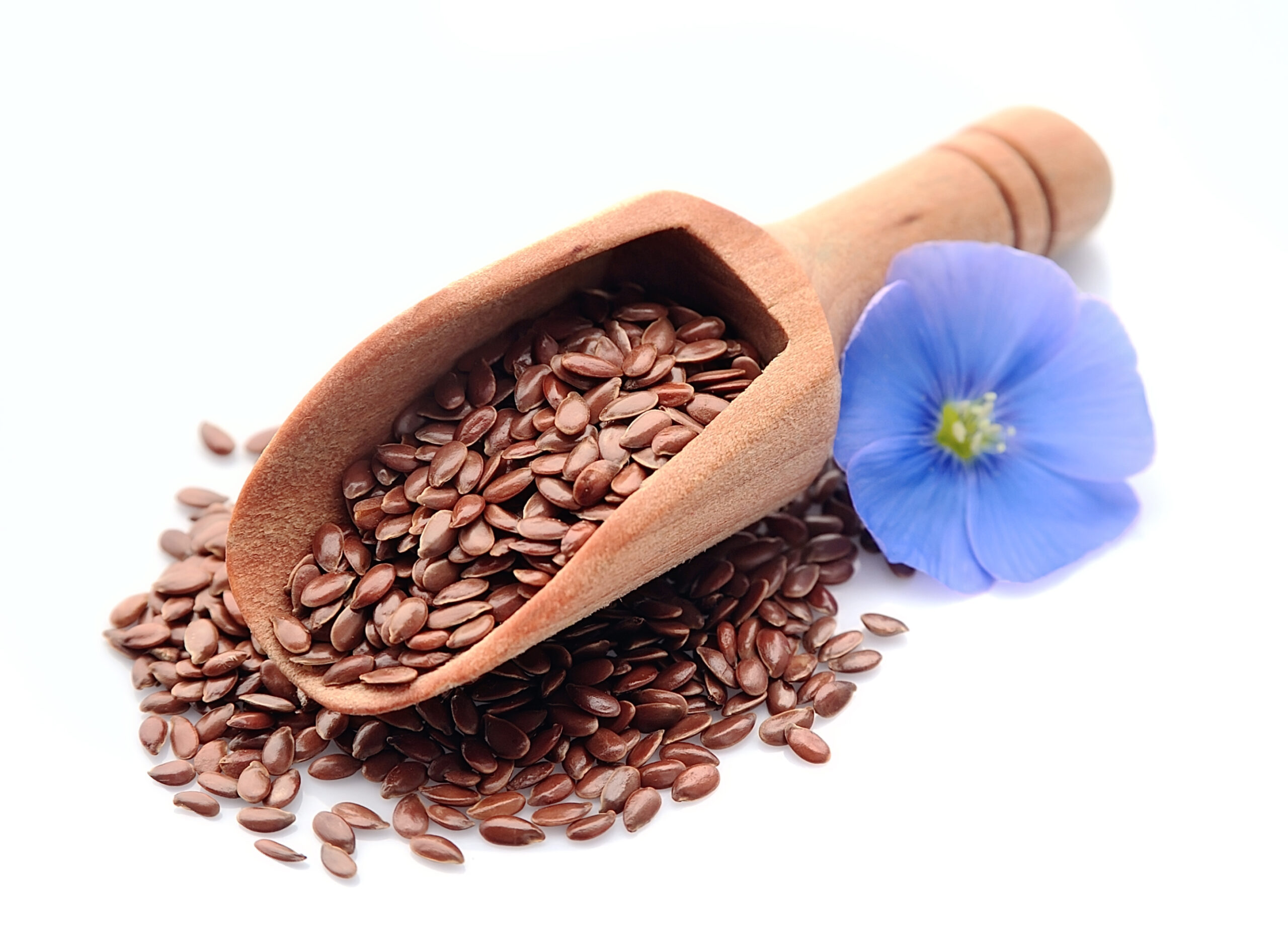 Flax seed and flax flowers .
